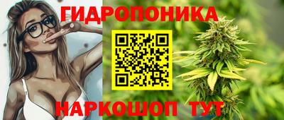 наркотики Кингисепп