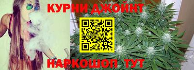 наркотики Кингисепп