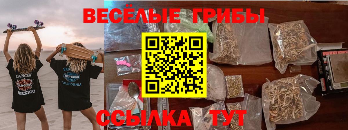 Псилоцибиновые грибы MAGIC MUSHROOMS Чебаркуль